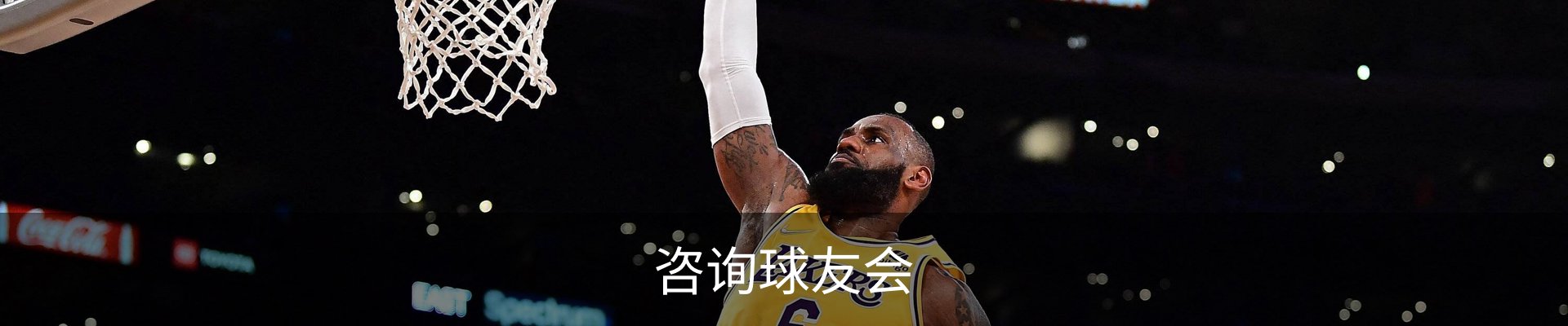 咨询球友会