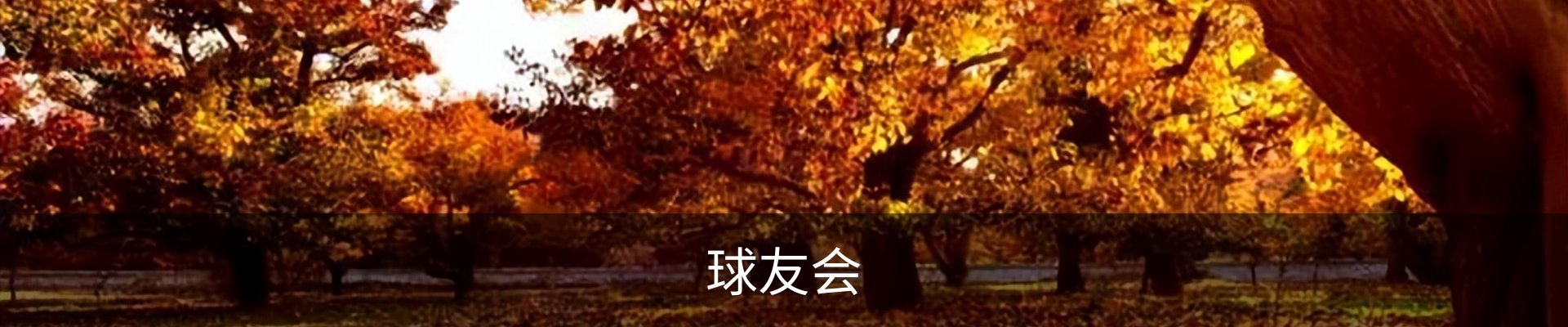 球友会